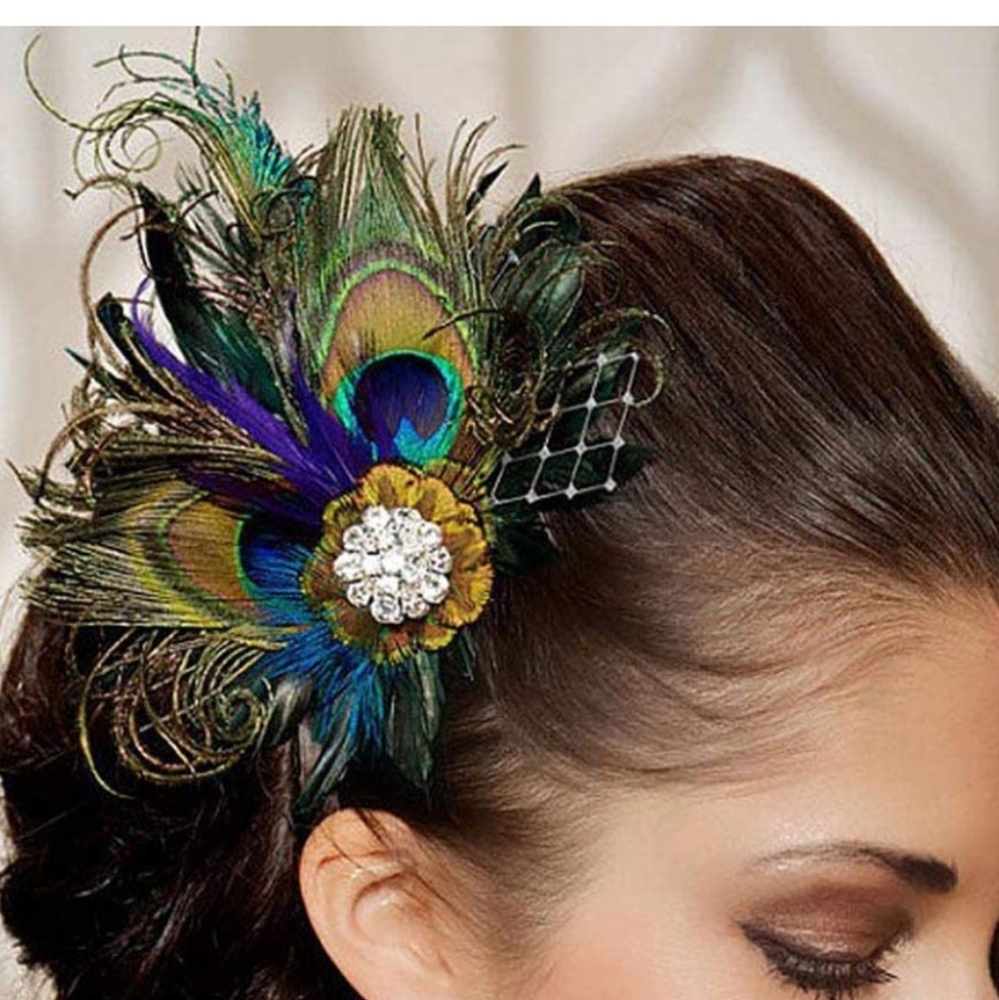 Peacock feathers hair clip